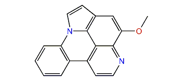 Arnoamine B